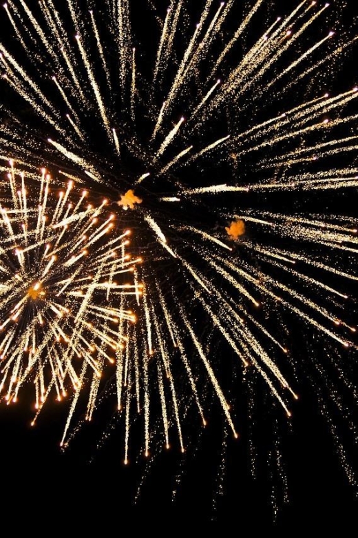 New York City Skyline & 4th of July Fireworks - Inclusions