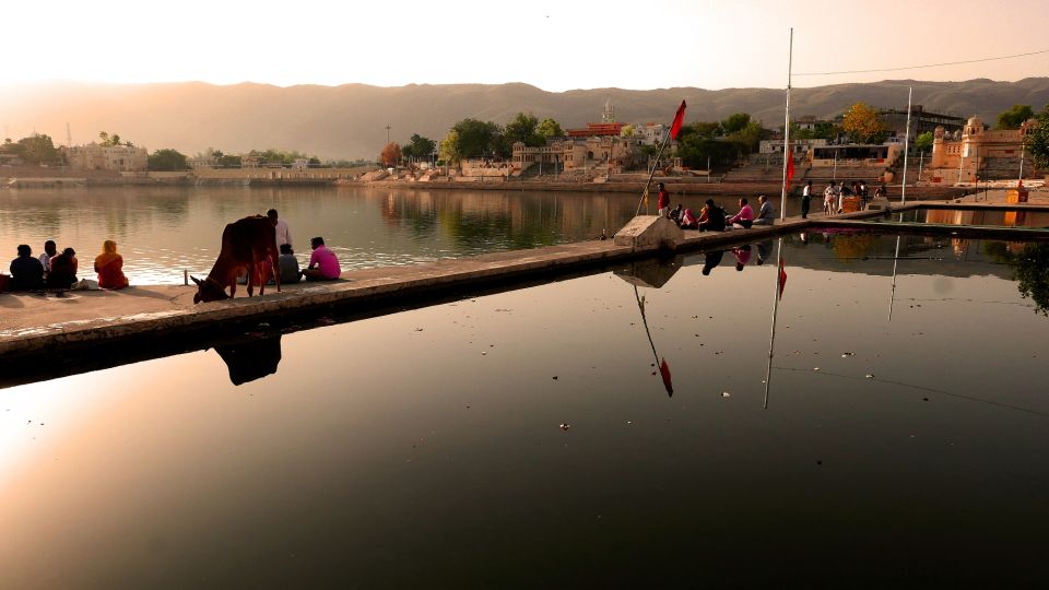 Same Day Temples Tour of Sacred City Pushkar From Jaipur - Important Information