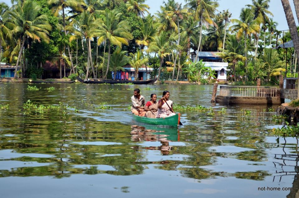 Backwater Houseboat and Fort Kochi Tour From Cochin Port - Customer Reviews