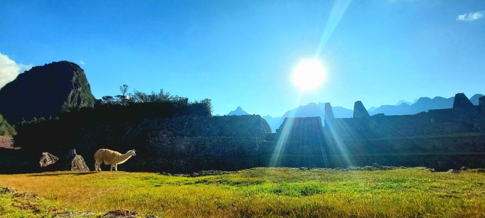 From Cusco: Machu Picchu Tour With Hiking Ticket - Requirements
