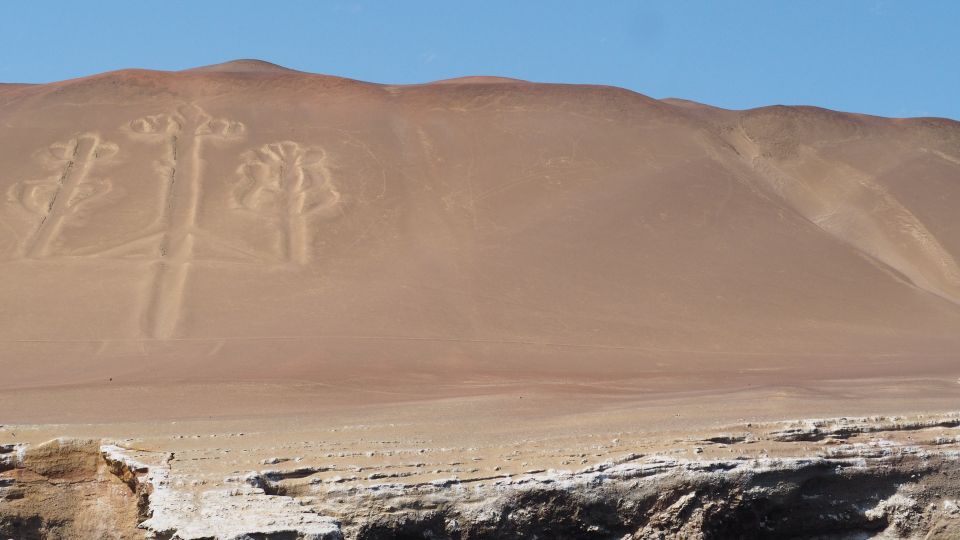 From Lima: Paracas National Reserve Tour & Ballesta Islands - Tour Experience