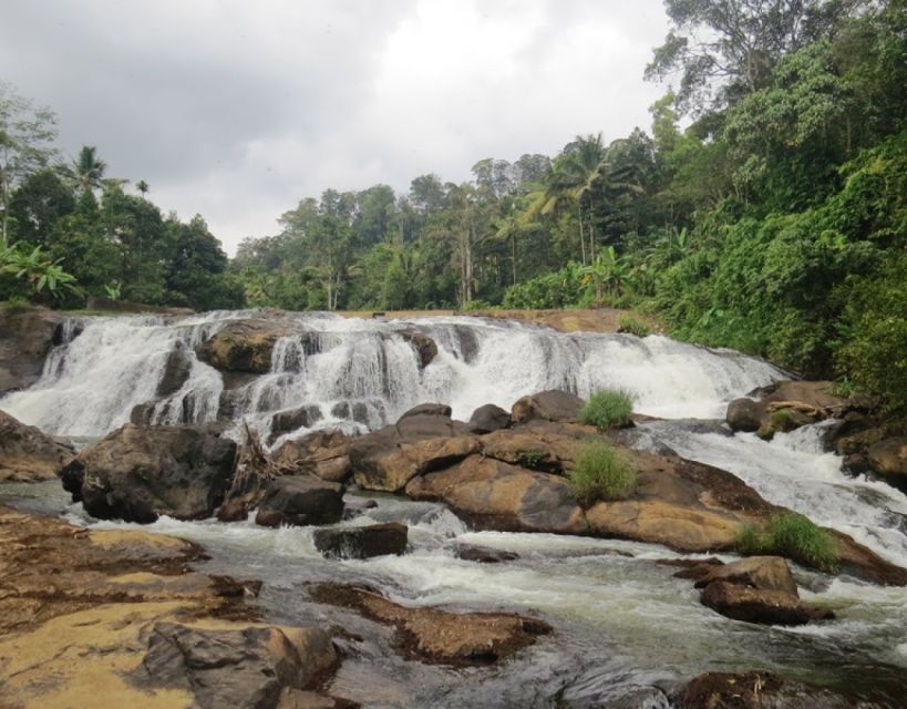 Waterfalls of Athirapply or Areekal Tour for 1 to 8 People. - Common questions