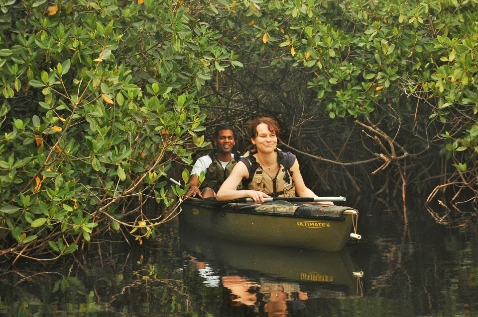 Everglades National Park: Mangrove Tunnel Kayak Eco-Tour - Additional Information