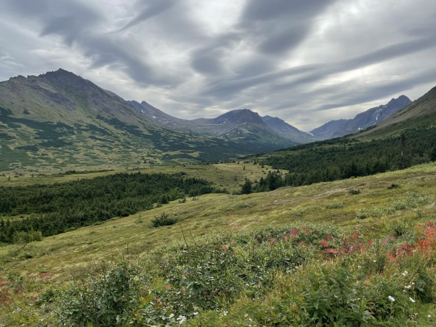 From Anchorage: Chugach State Park Walk With Naturalist - Meeting Point