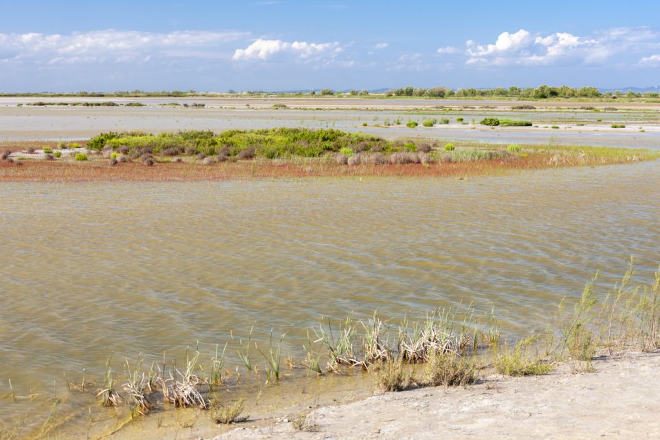 From Arles: Half-Day 4x4 Camargue Safari - Directions