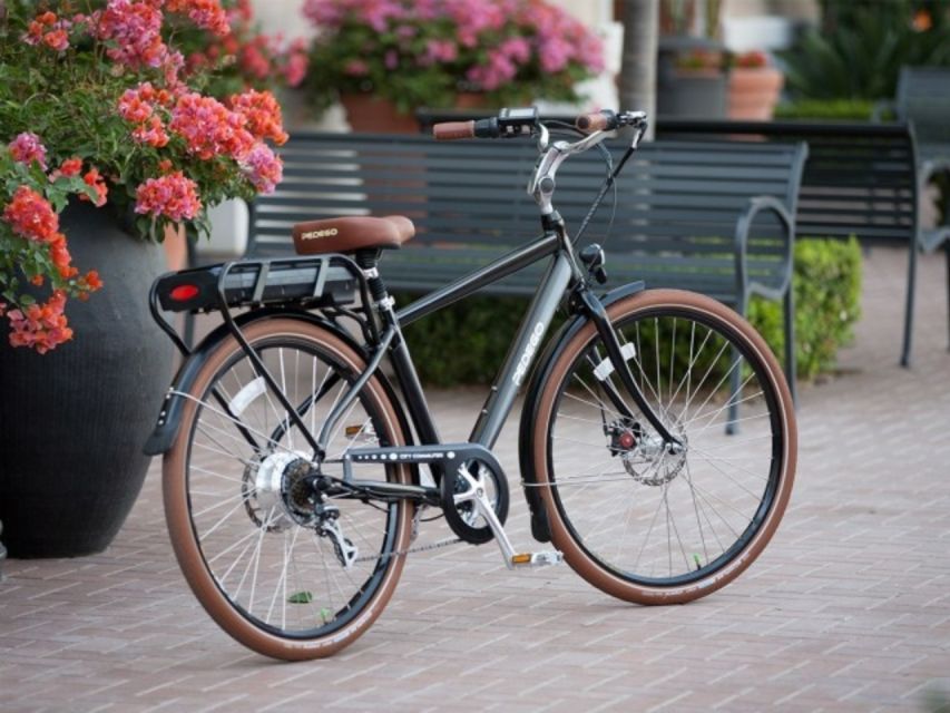 Norfolk: Electric Bike Rental - Sum Up