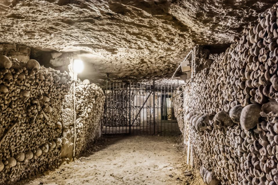 Paris Catacombs: VIP Skip-the-Line Restricted Access Tour - Customer Reviews