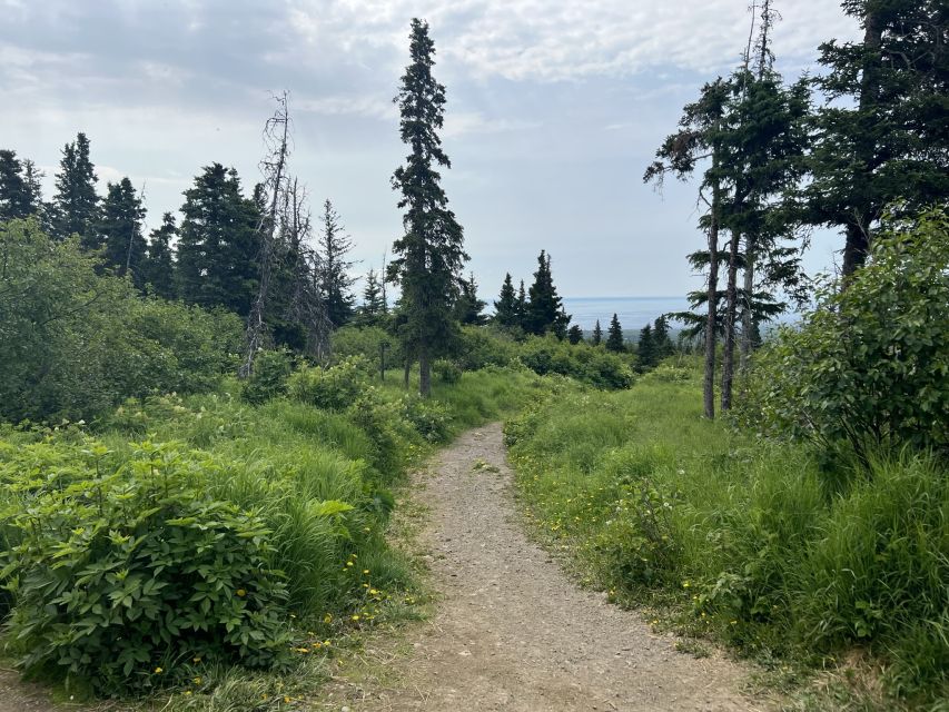 From Anchorage: Chugach State Park Walk With Naturalist - What to Bring