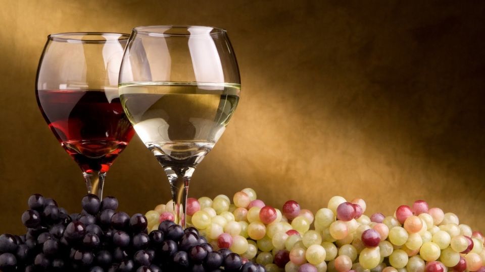 From Atlanta: North Georgia Wine Country Tour - Additional Information