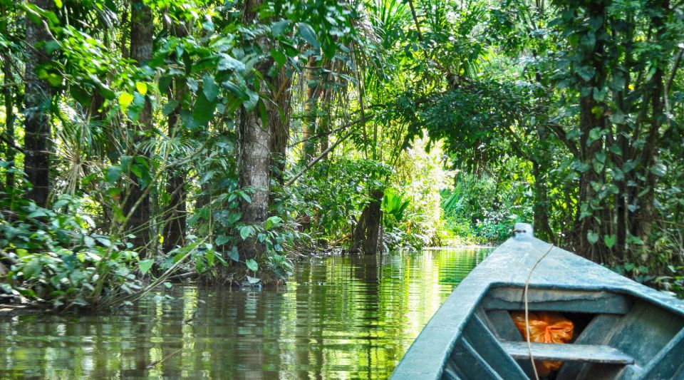 Tambopata Peruvian Amazon Jungle for Three Days/Two Nights - Sum Up