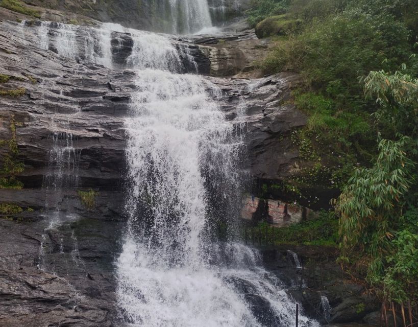 Waterfalls of Athirapply or Areekal Tour for 1 to 8 People. - Highlights
