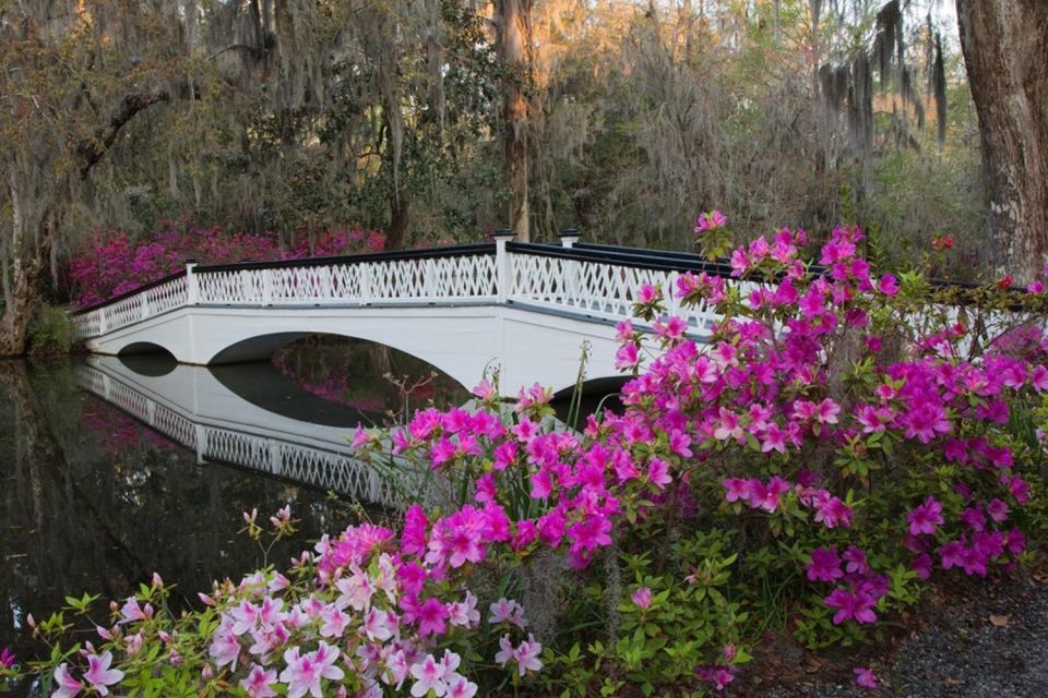 Charleston: Historic City Tour & Magnolia Plantation Combo - Customer Reviews