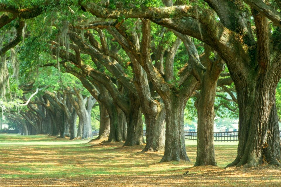 Charleston: Tour Pass With 40+ Attractions - Reservation Details and Mobile Pass