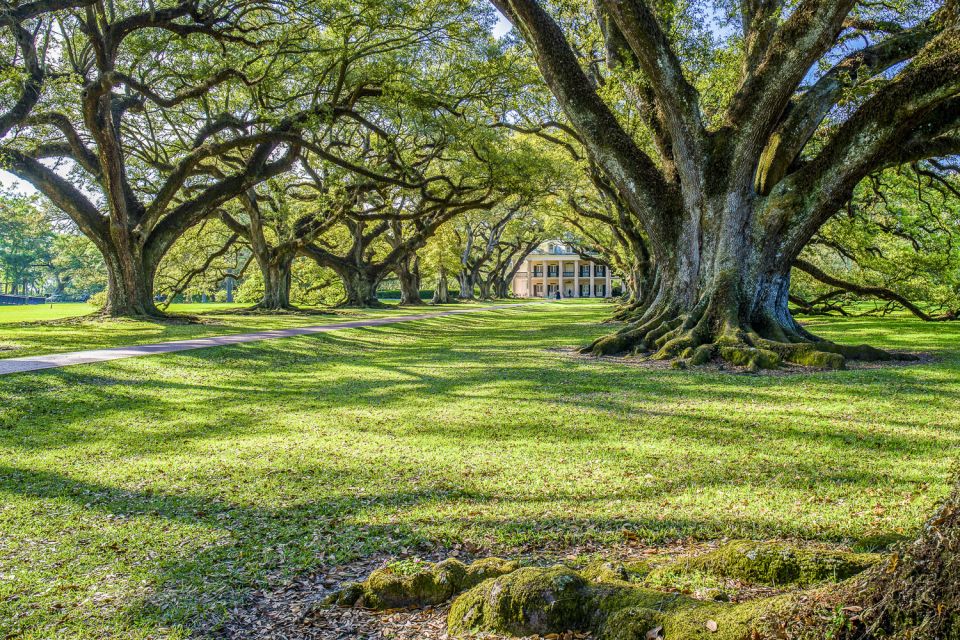 From New Orleans: Whitney Plantation Ticket & Transportation - Practical Information