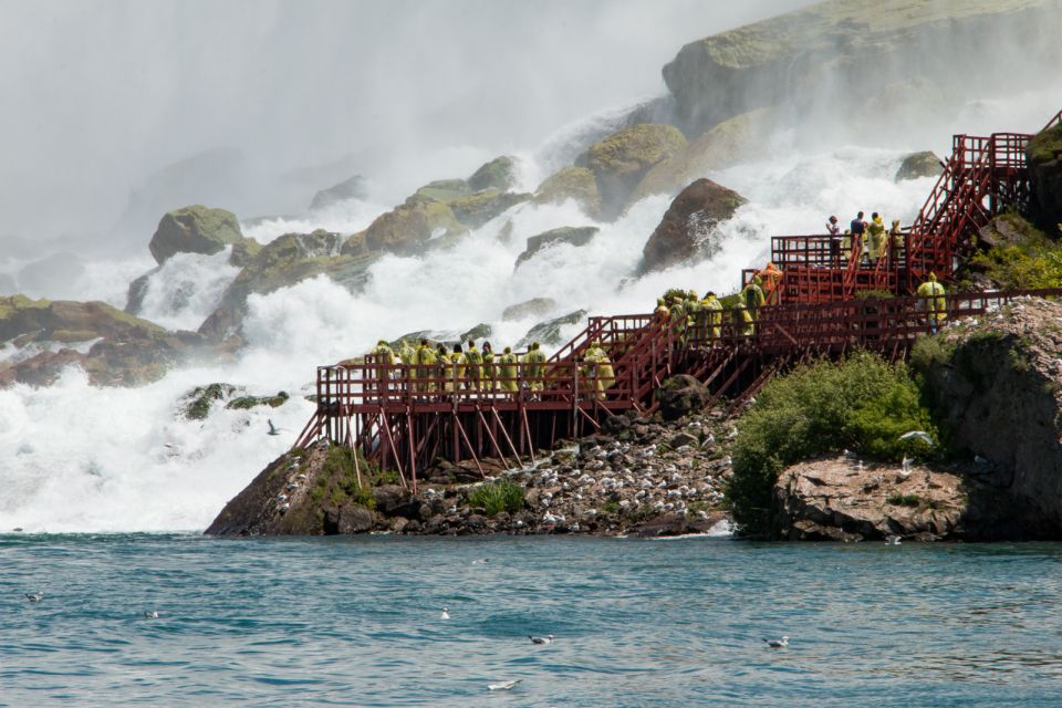 From Niagara Falls USA: Day and Night Tour With Light Show - Sum Up