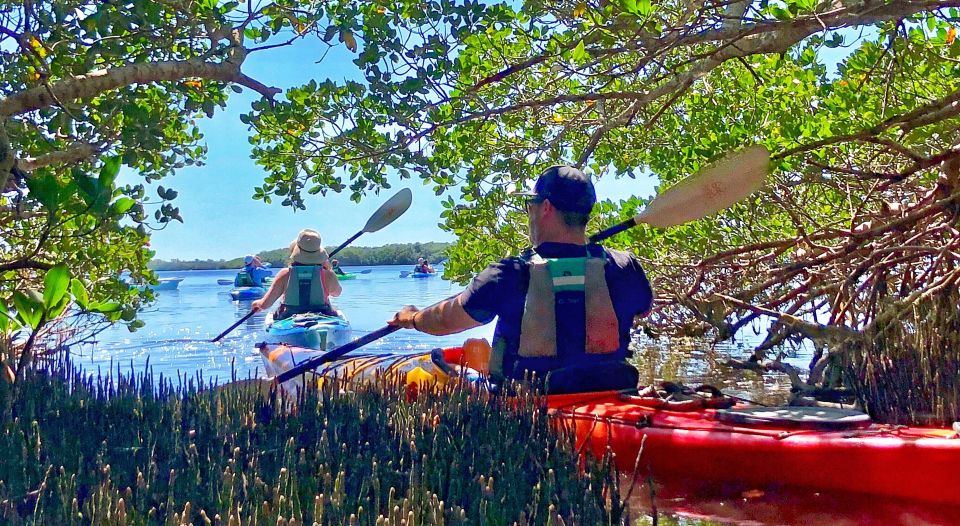 St Pete & St Pete Beach: Coastal Kayak Charters - Sum Up