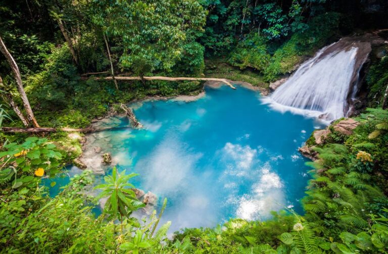 Montego Bay: Blue Hole, Dunn’s River, and Reggae Hill Tour