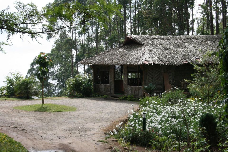 Munnar Tea Trek - Meeting Point and Transportation