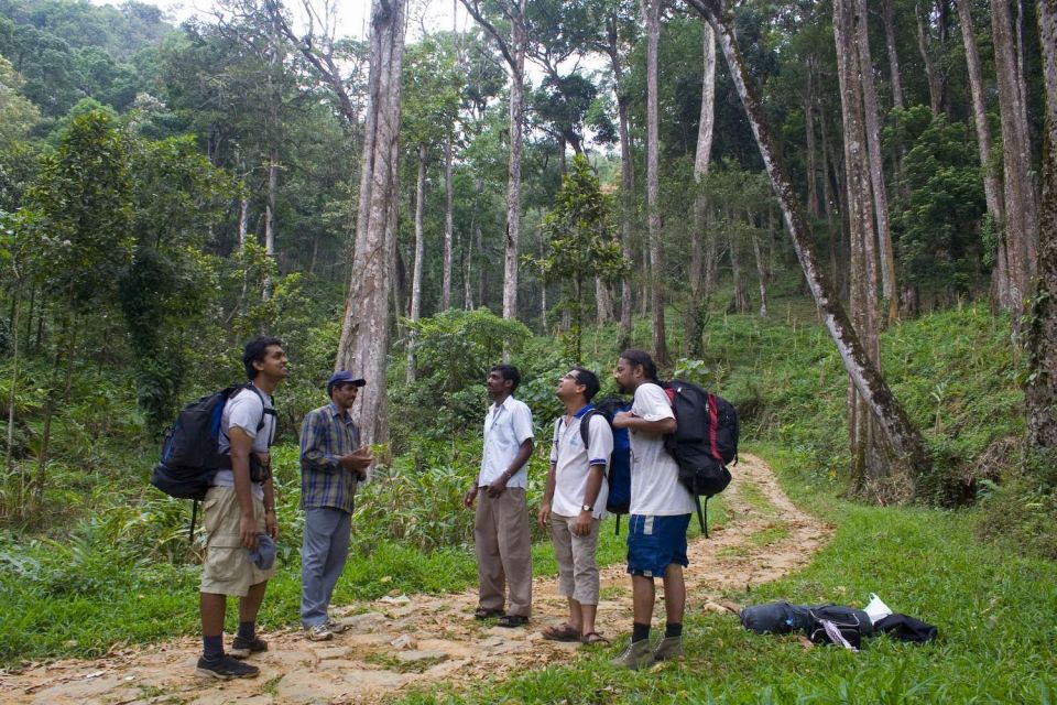 Munnar Tea Trek - Common questions