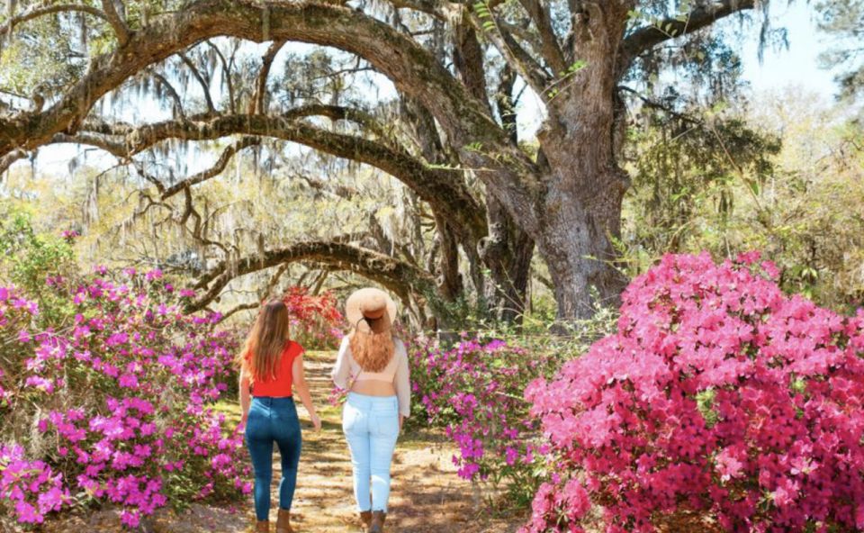 Charleston: Historic City Tour & Magnolia Plantation Combo - Key Points
