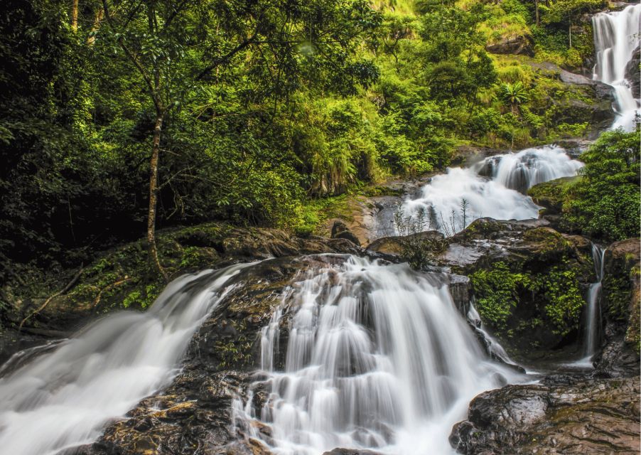 Day Trip to Tala Kaveri (Guided Tour by a Car From Coorg)