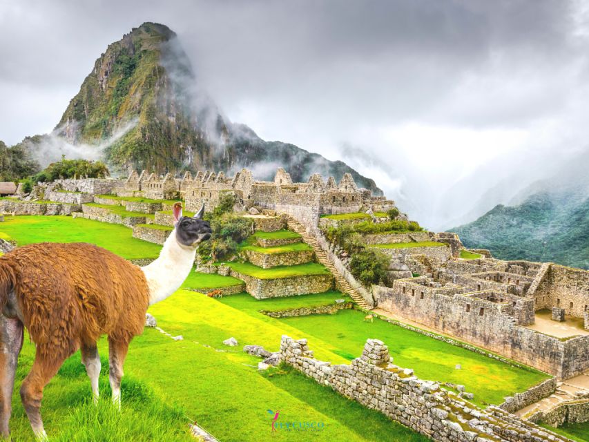 From Cusco: Machu Picchu Private Day Trip by Train - Key Points