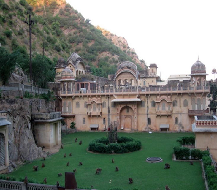 Jaipur: Full-Day City Tour With Camel Ride and Monkey Temple - Tour Highlights