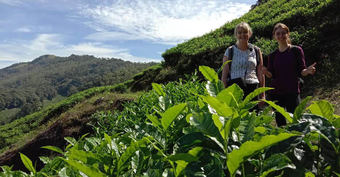 Munnar Tea Trek - Key Points