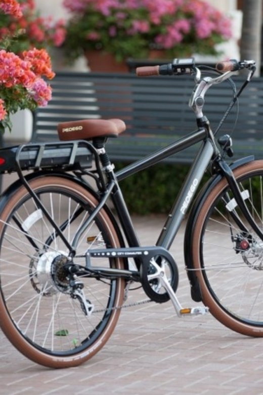 Norfolk: Electric Bike Rental - Key Points