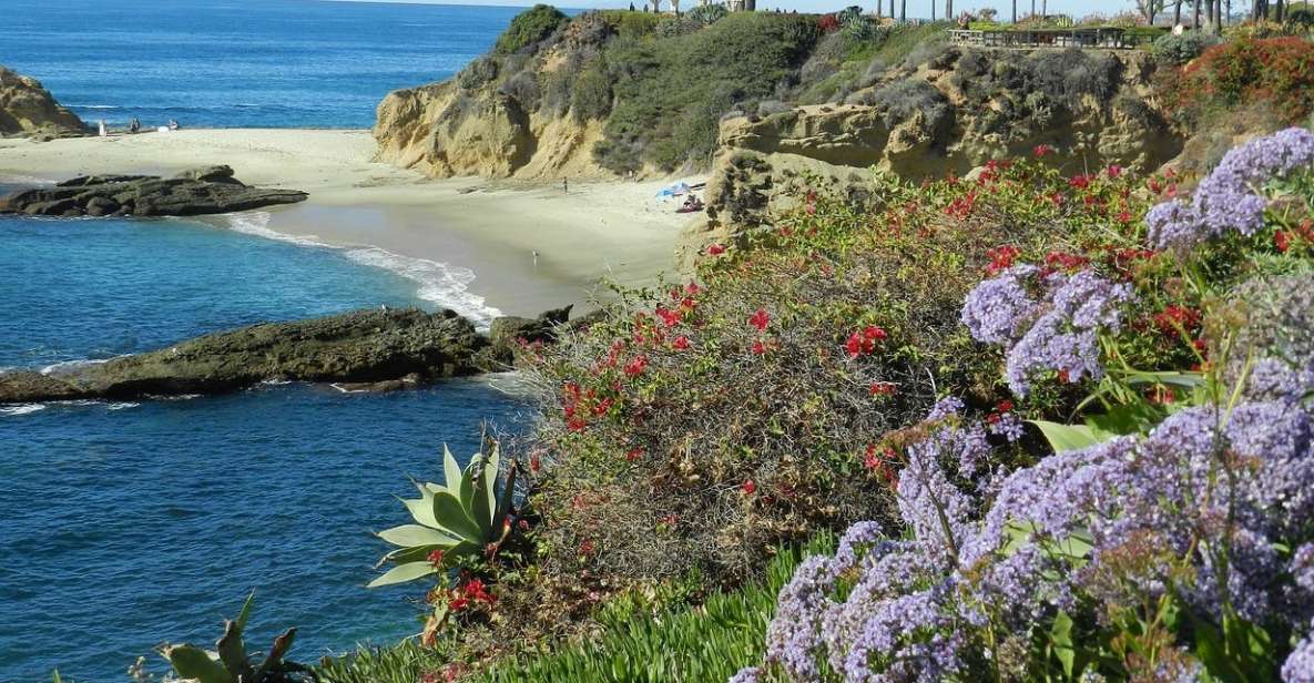 Orange County: Coastal Beach and Highlights Tour by Van - Tour Details