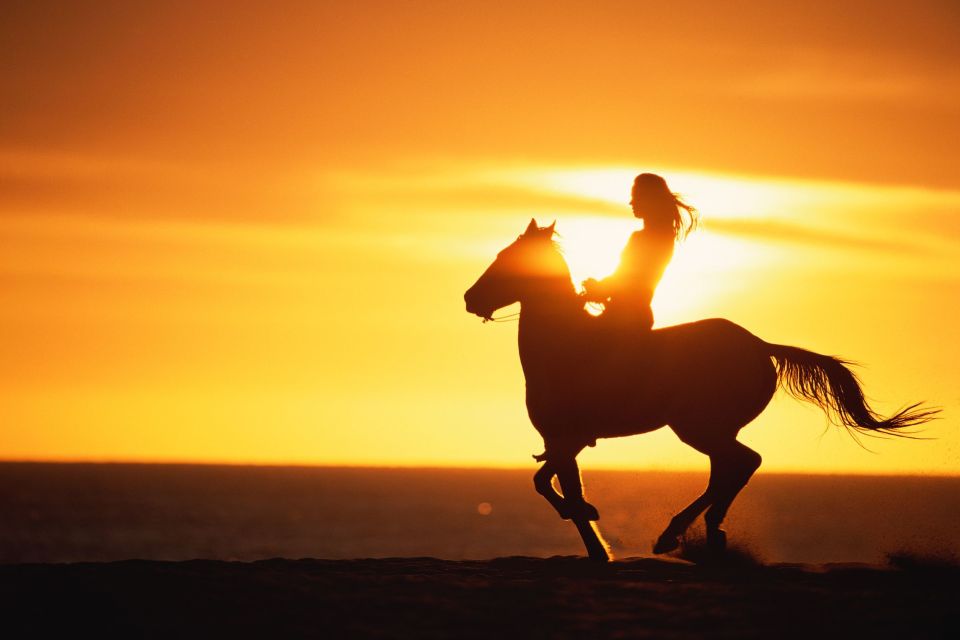 Puerto Plata: Sunset Beach Horseback Riding Tour - Tour Details