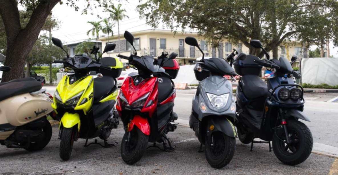 Scooter Dealer Miami - Wynwood - Key Points