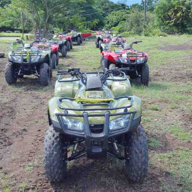 St. Kitts: Jungle Bikes ATV and Beach Guided Tour - Key Points