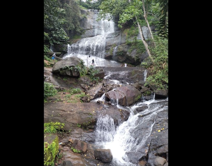 Waterfalls of Athirapply or Areekal Tour for 1 to 8 People. - Key Points