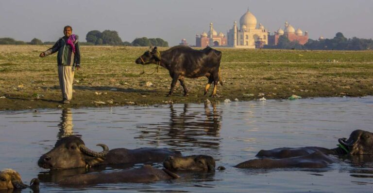 From Delhi: 3 Day Golden Triangle Luxury Tour