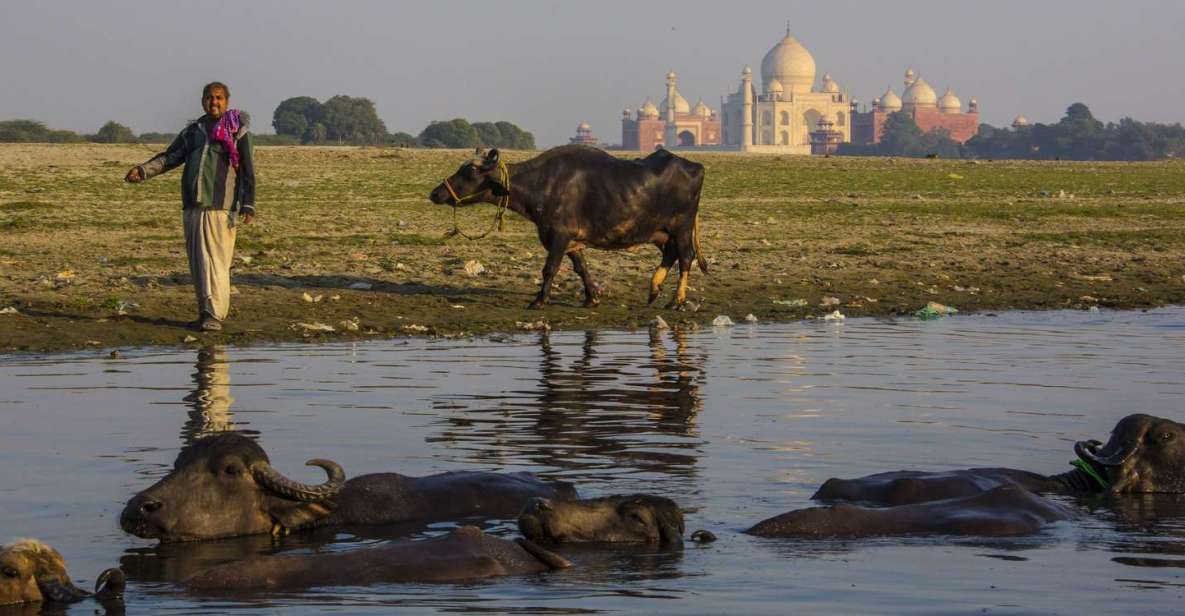 From Delhi: 3 Day Golden Triangle Luxury Tour - Tour Details