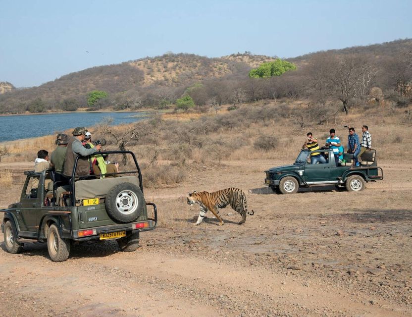 From Jaipur: Overnight Ranthambore Tiger Safari Private Tour