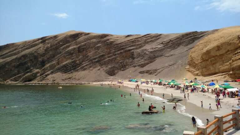 From Lima: Ballestas Islands & Paracas Reserve With Meals