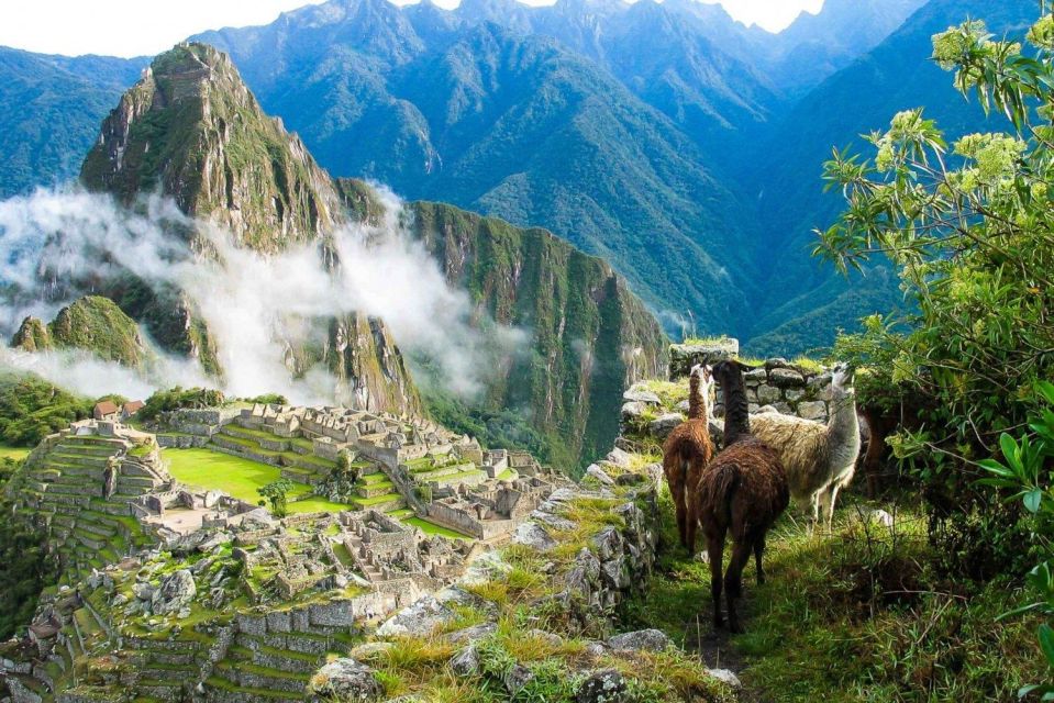 Machu Picchu 1 Day Adventure + Lunch - Tour Details