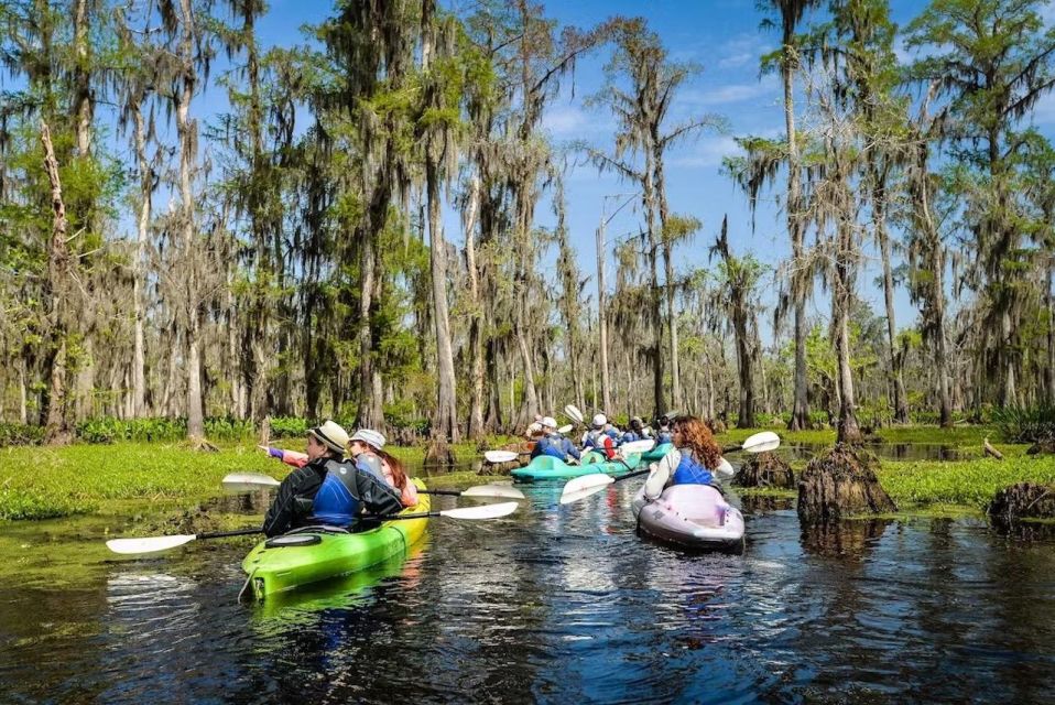 New Orleans: Manchac Magic Kayak Swamp Tour - Tour Details