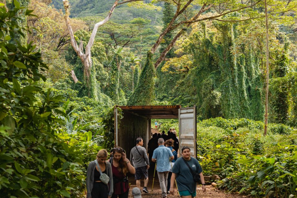 Oahu: Hike to the Manoa Falls Waterfall With Lunch - Tour Details