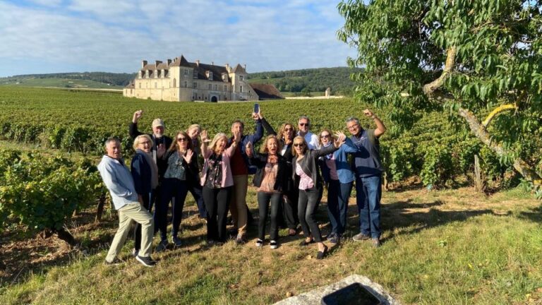 Vosne-Romanée: Private Vineyards Walking Tour With Tasting
