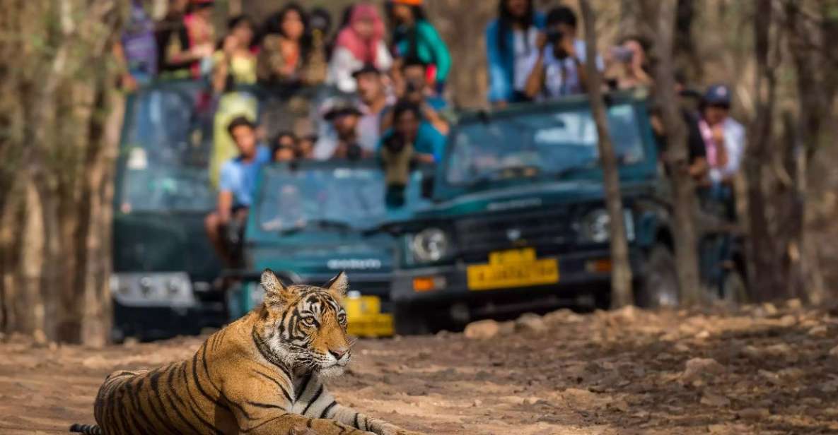 From Jaipur:Ultimate Jaipur to Ranthambore Jeep Safari Tour - Pricing and Duration