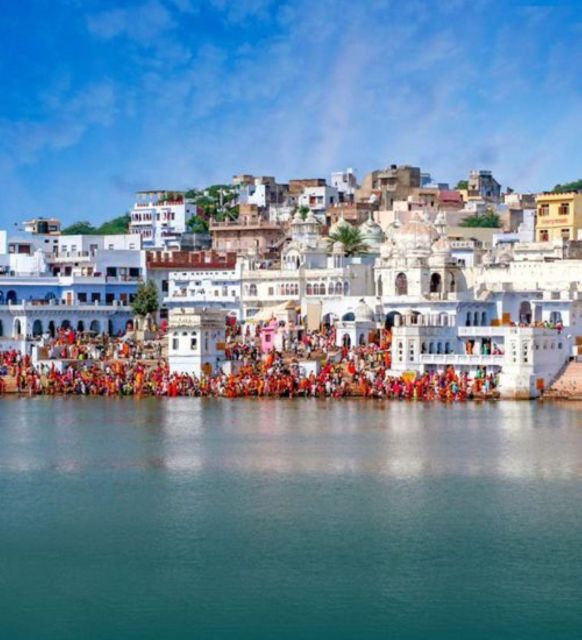 Fullday Pushkar Tour From Jaipur With Guid+Camel/Jeep Safari - Pricing and Duration