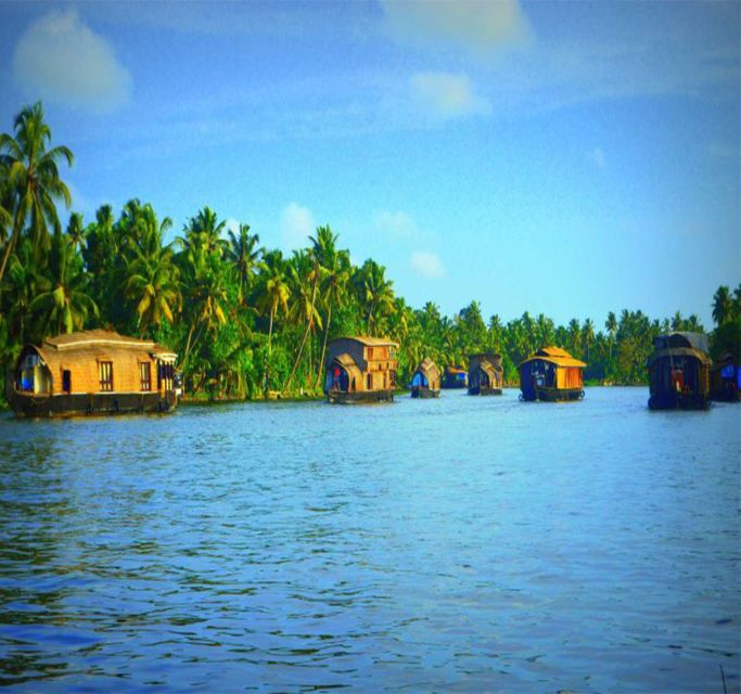 Kerala: 4-Day Tour With Tree House Stay & Houseboat Ride - Included Services