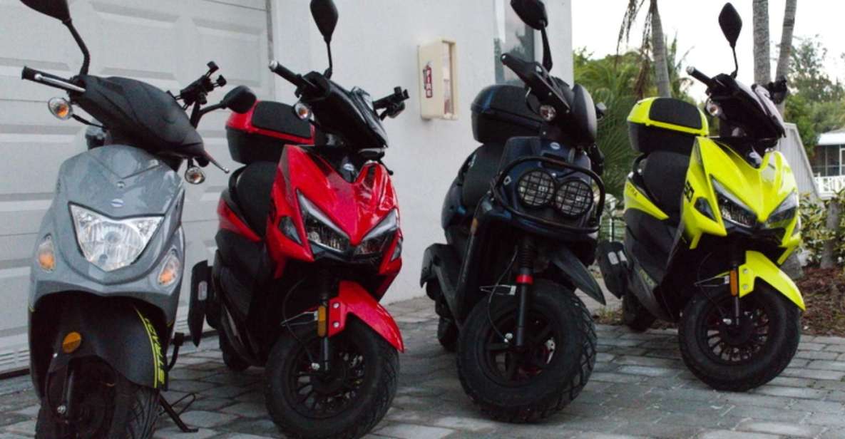 Scooter Dealer Miami - Pricing and Booking Details