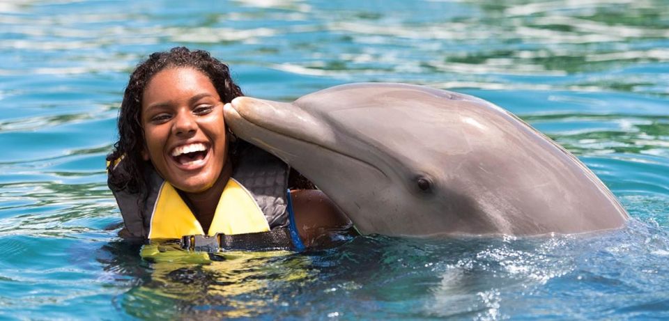 VIP Swim With Dolphins at Ocean World Puerto Plata - VIP Experience Features