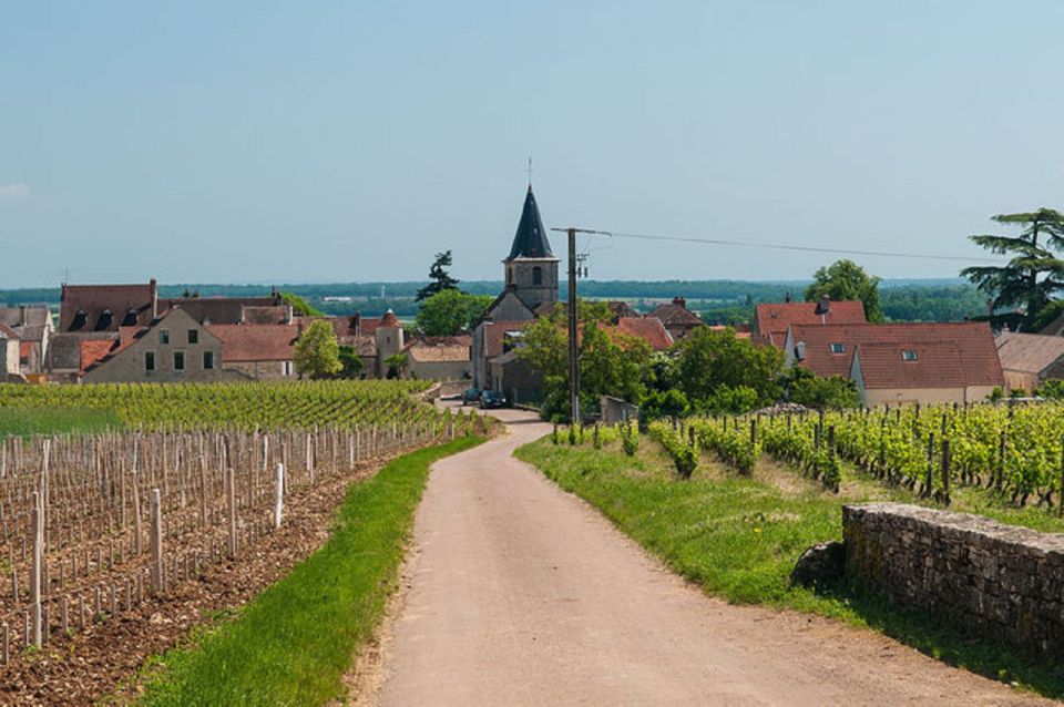 Vosne-Romanée: Private Vineyards Walking Tour With Tasting - Languages and Group Size