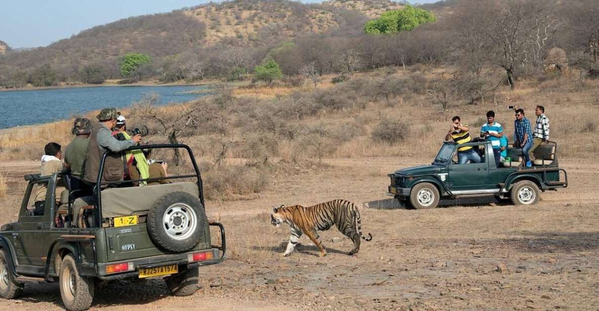 From Jaipur: Overnight Ranthambore Tiger Safari Private Tour - Itinerary