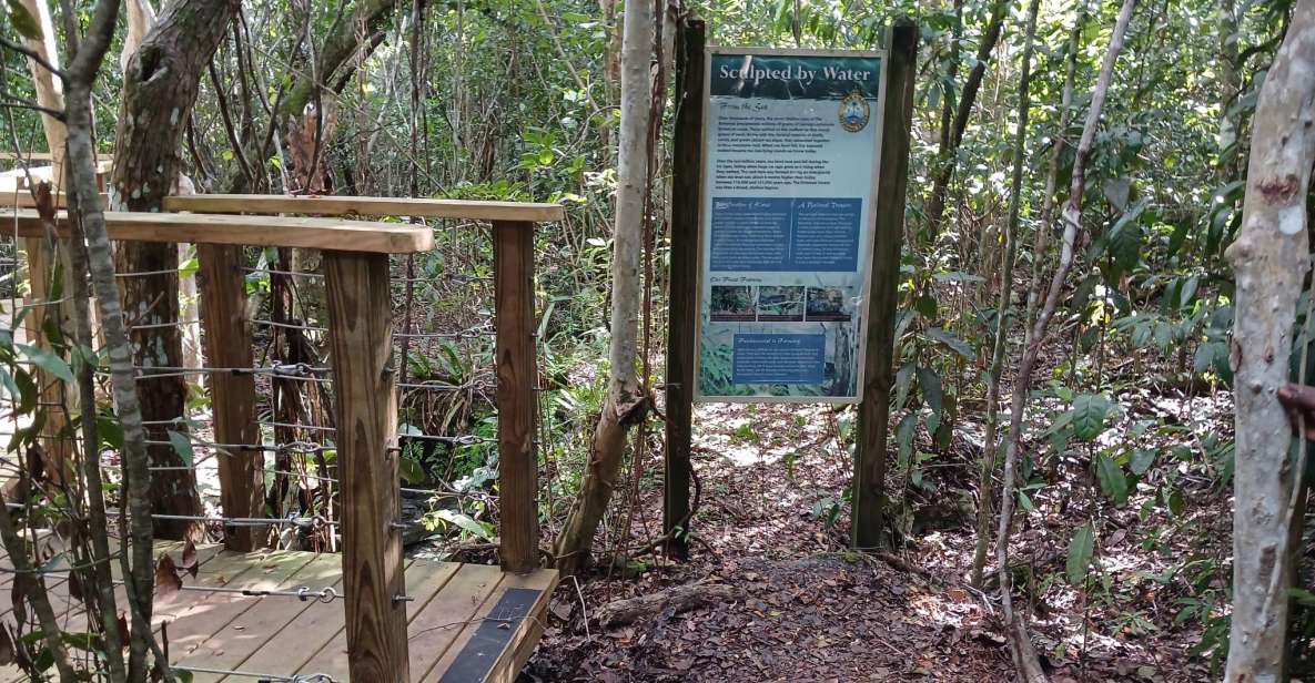 Guided Primeval Nature Walk Tour - Accessibility and Language
